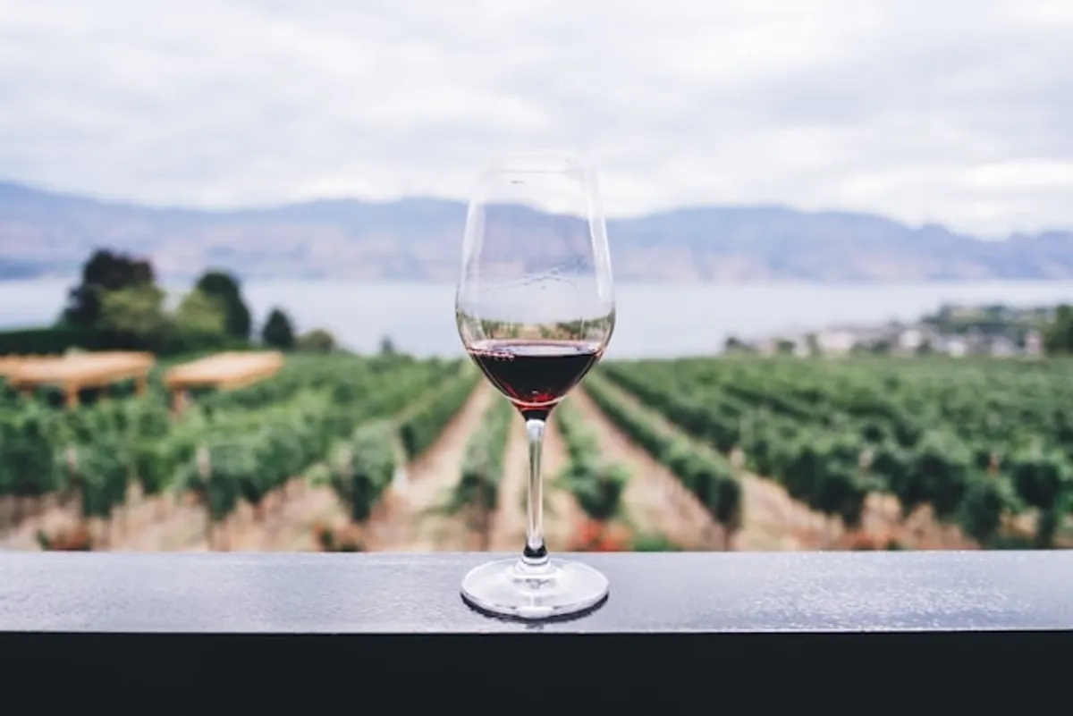 LA Friends Hangout Weekend – Wine, Views & Vibes